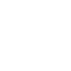 CHINO TRAVEL
