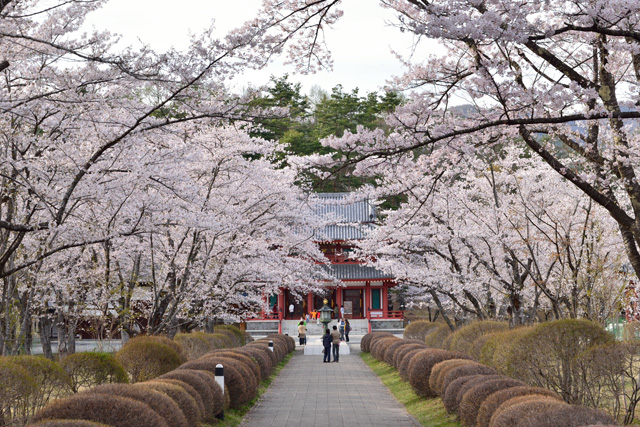 蓼科山 聖光寺 たてしなさん しょうこうじ 茅野観光ナビ