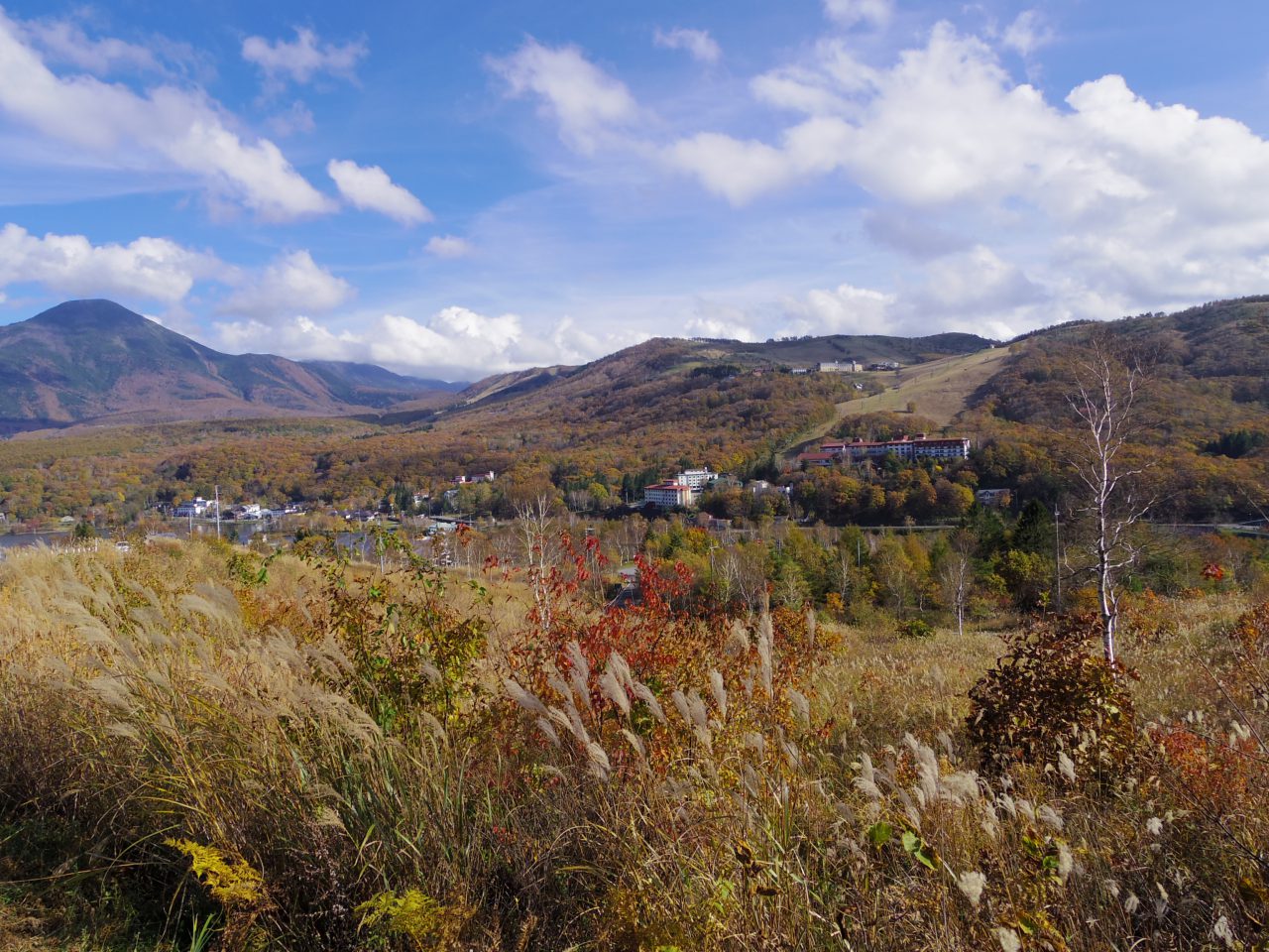 車山の草紅葉情報 茅野観光ナビ
