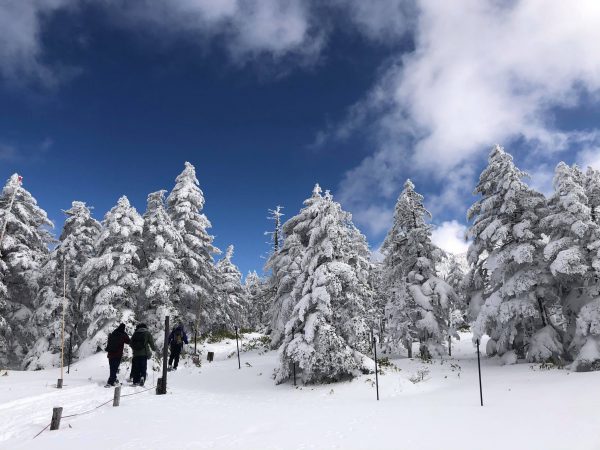 北八ヶ岳の冬景色 茅野観光ナビ