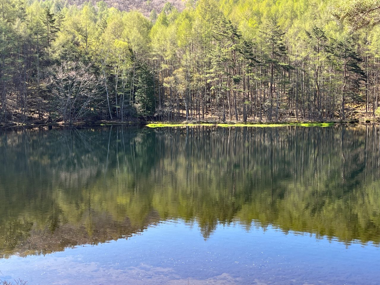 御射鹿池新緑 緑がこだまする「緑響く」の絶景、新緑と紅葉の御射鹿池 - 地球